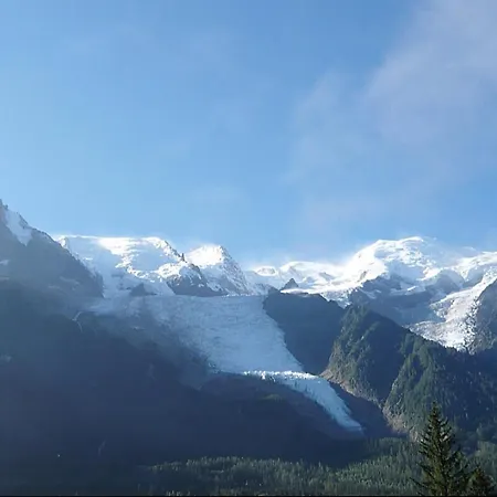 Charming T3 With Terrace In Apartment Chamonix